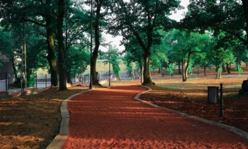 Çekmeköy Web Tasarım